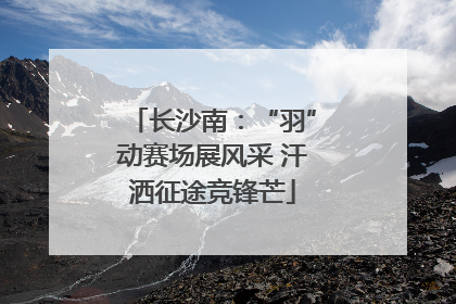 长沙南：“羽”动赛场展风采 汗洒征途竞锋芒