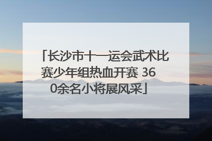 长沙市十一运会武术比赛少年组热血开赛 360余名小将展风采