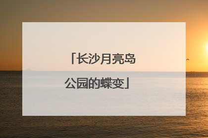 长沙月亮岛公园的蝶变
