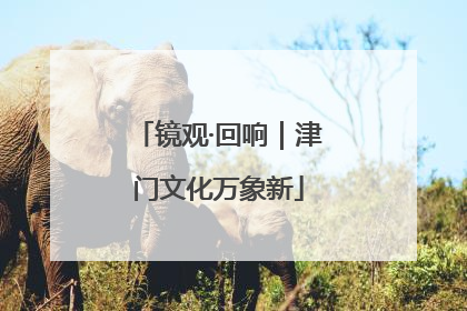 镜观·回响｜津门文化万象新