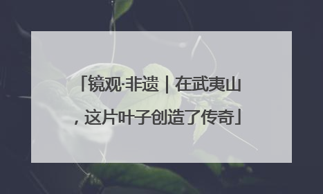 镜观·非遗｜在武夷山，这片叶子创造了传奇