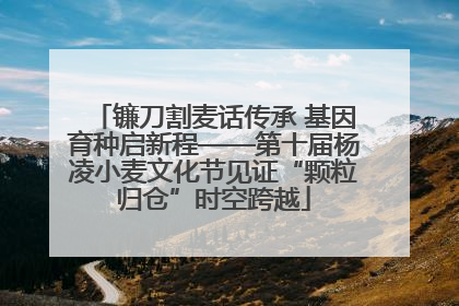 镰刀割麦话传承 基因育种启新程——第十届杨凌小麦文化节见证“颗粒归仓”时空跨越