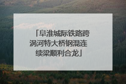 阜淮城际铁路跨涡河特大桥钢混连续梁顺利合龙