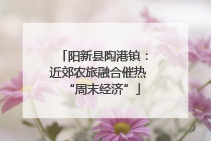 阳新县陶港镇：近郊农旅融合催热“周末经济”