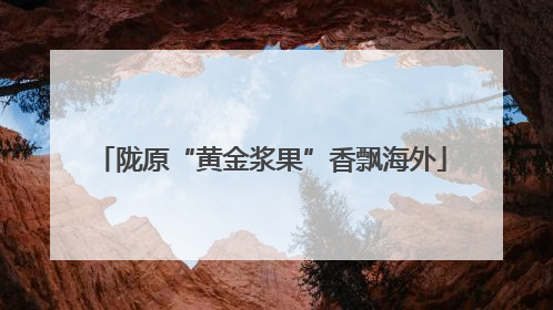 陇原“黄金浆果”香飘海外