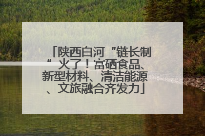 陕西白河“链长制”火了！富硒食品、新型材料、清洁能源、文旅融合齐发力