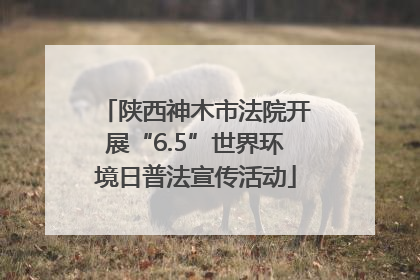 陕西神木市法院开展“6.5”世界环境日普法宣传活动