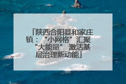 陕西合阳县和家庄镇：“小网格”汇聚“大能量” 激活基层治理新动能
