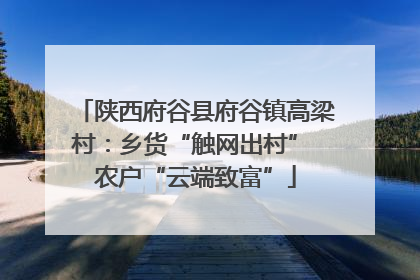 陕西府谷县府谷镇高梁村：乡货“触网出村” 农户“云端致富”
