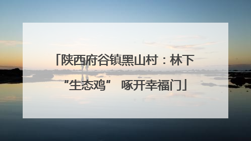 陕西府谷镇黑山村：林下“生态鸡” 啄开幸福门