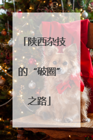 陕西杂技的“破圈”之路