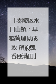 零陵区水口山镇:早稻管理见成效 稻浪飘香穗满田