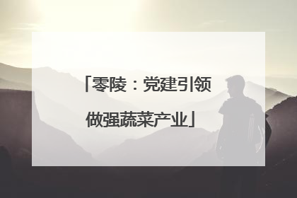 零陵：党建引领 做强蔬菜产业