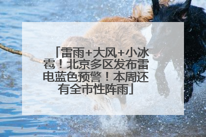 雷雨+大风+小冰雹！北京多区发布雷电蓝色预警！本周还有全市性阵雨
