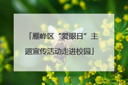 雁峰区“爱眼日”主题宣传活动走进校园