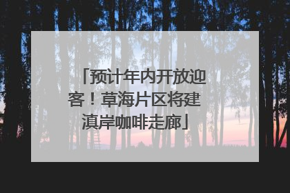 预计年内开放迎客！草海片区将建滇岸咖啡走廊