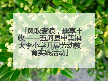风吹麦浪，趣享丰收——五河县申集镇大李小学开展劳动教育实践活动