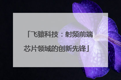 飞骧科技：射频前端芯片领域的创新先锋
