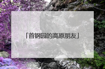 首钢园的高原朋友