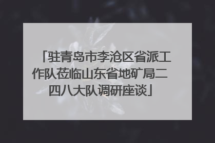 驻青岛市李沧区省派工作队莅临山东省地矿局二四八大队调研座谈