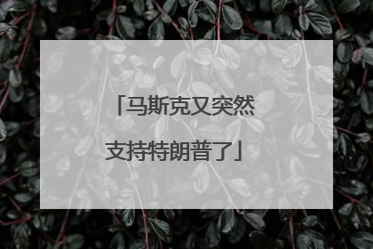 马斯克又突然支持特朗普了
