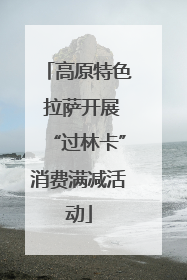 高原特色 拉萨开展“过林卡”消费满减活动