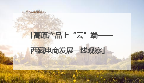 高原产品上“云”端——西藏电商发展一线观察