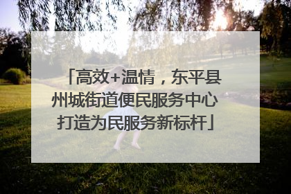 高效+温情，东平县州城街道便民服务中心打造为民服务新标杆