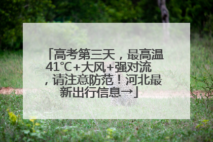 高考第三天，最高温41℃+大风+强对流，请注意防范！河北最新出行信息→