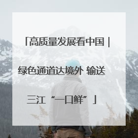 高质量发展看中国｜绿色通道达境外 输送三江“一口鲜”