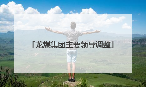 龙煤集团主要领导调整