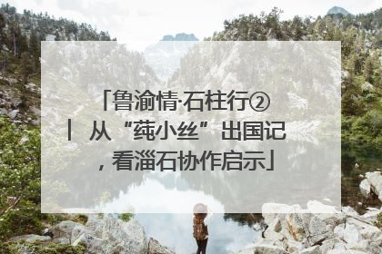 鲁渝情·石柱行② ︳从“莼小丝”出国记，看淄石协作启示