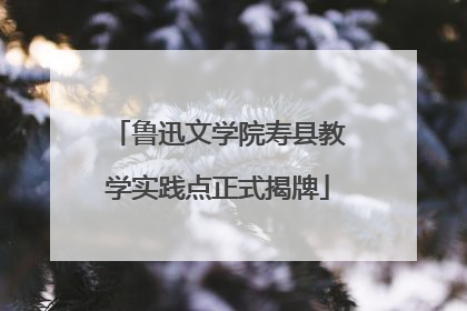 鲁迅文学院寿县教学实践点正式揭牌