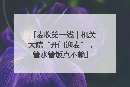 麦收第一线｜机关大院“开门迎麦”，管水管饭真不赖
