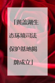 黄盖湖生态环境司法保护基地揭牌成立