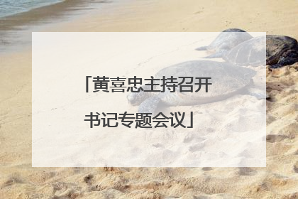 黄喜忠主持召开书记专题会议