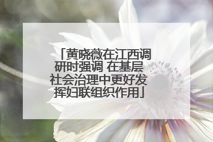 黄晓薇在江西调研时强调 在基层社会治理中更好发挥妇联组织作用