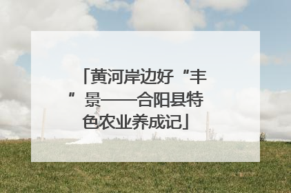黄河岸边好“丰”景——合阳县特色农业养成记