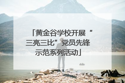 黄金谷学校开展“三亮三比”党员先锋示范系列活动