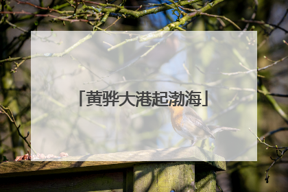 黄骅大港起渤海