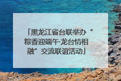 黑龙江省台联举办“粽香迎端午·龙台情相融”交流联谊活动