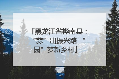 黑龙江省桦南县：“蒜”出振兴路 “园”梦新乡村