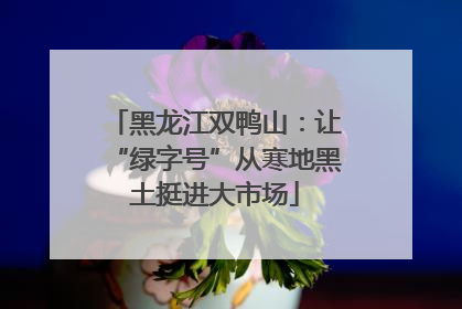 黑龙江双鸭山：让“绿字号”从寒地黑土挺进大市场