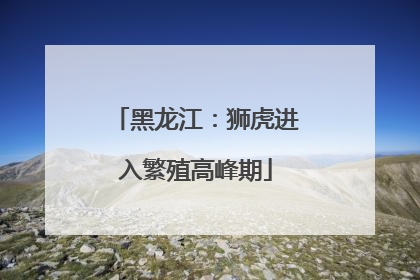 黑龙江：狮虎进入繁殖高峰期