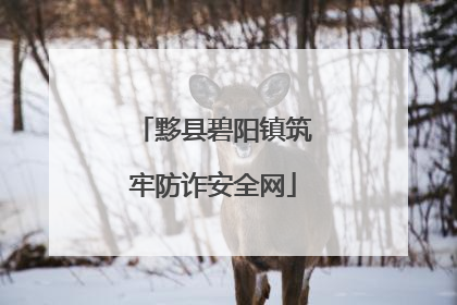 黟县碧阳镇筑牢防诈安全网
