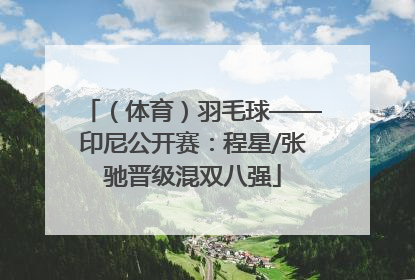 （体育）羽毛球——印尼公开赛：程星/张驰晋级混双八强