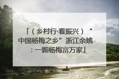 （乡村行·看振兴）“中国杨梅之乡”浙江余姚：一颗杨梅富万家