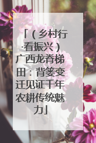 （乡村行·看振兴）广西龙脊梯田：背篓变迁见证千年农耕传统魅力