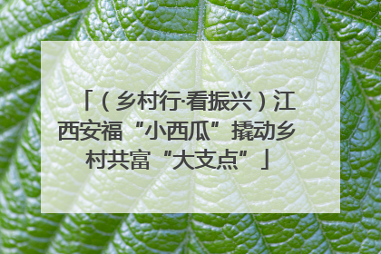 （乡村行·看振兴）江西安福“小西瓜”撬动乡村共富“大支点”