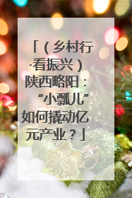 （乡村行·看振兴）陕西略阳：“小瓢儿”如何撬动亿元产业？